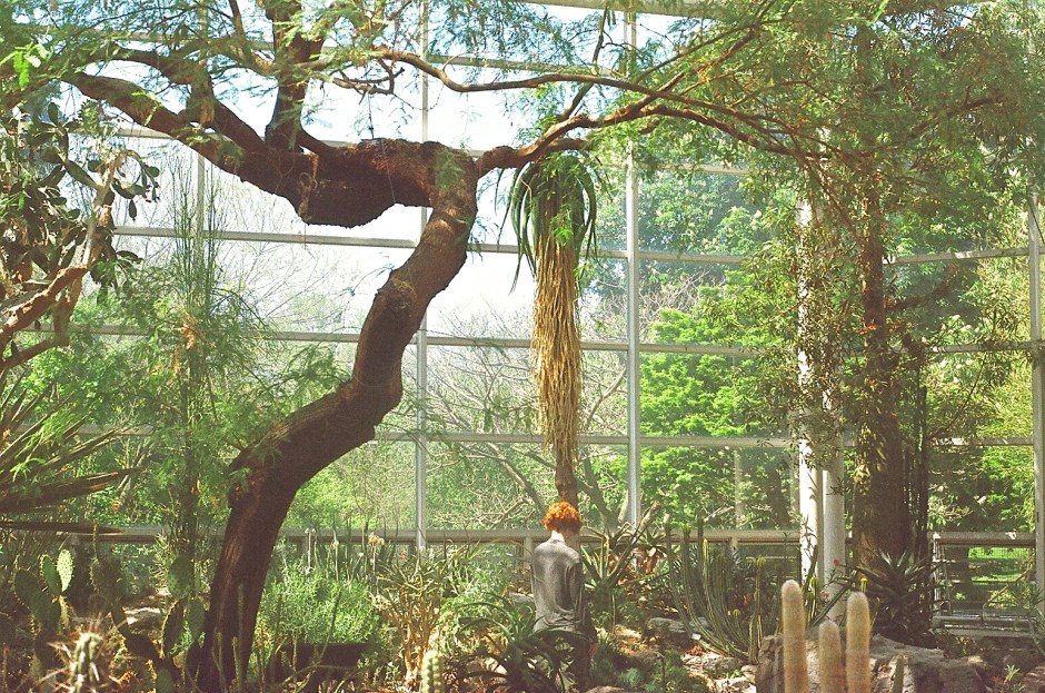 Brooklyn Botanical Garden 